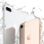 Iphone 8 super bluffe, risultati peggiori del 2013